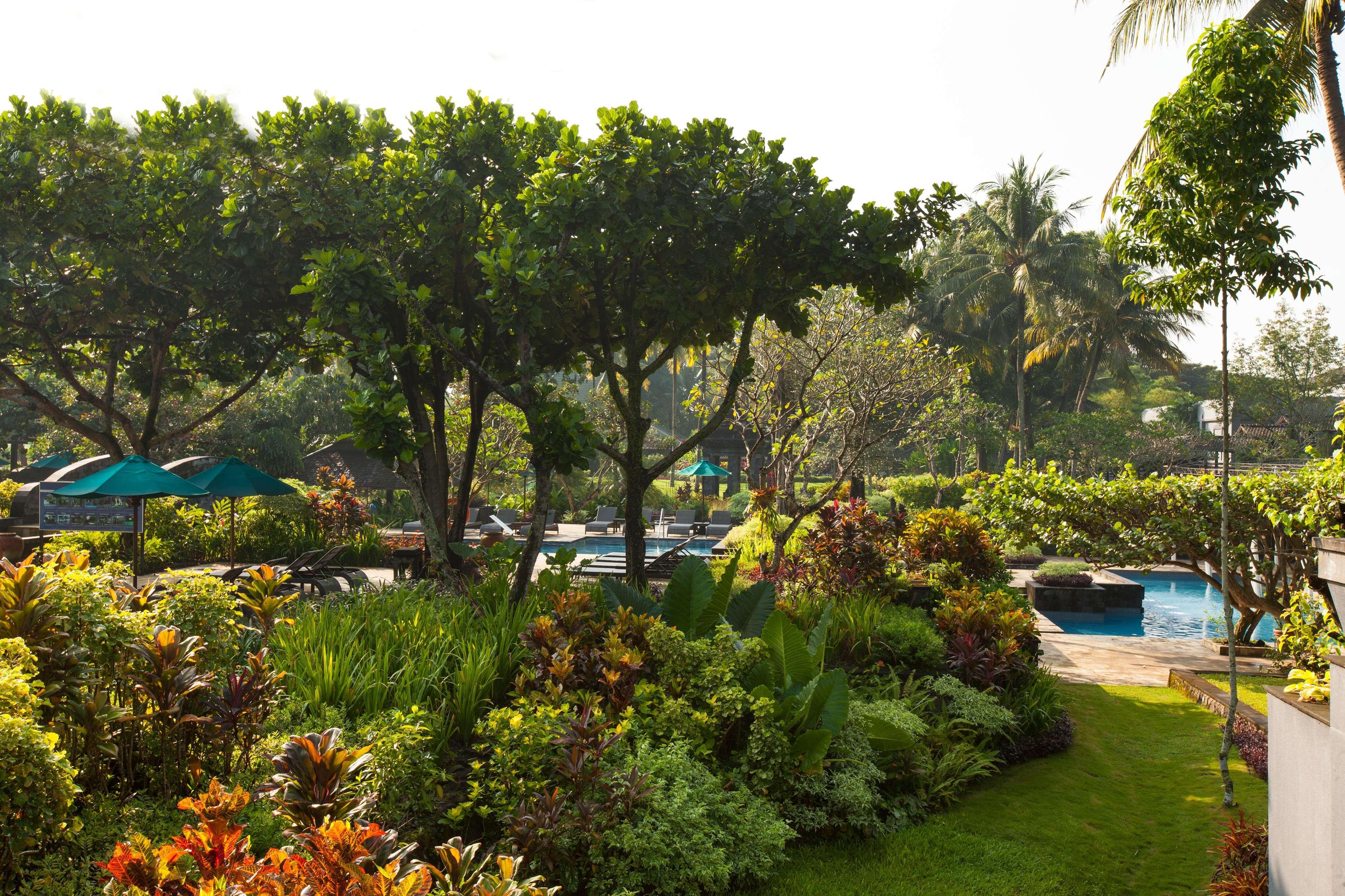 Hyatt Regency Yogyakarta Hotell Sleman  Exteriör bild The pool at the Royal Hawaiian Hotel